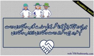 Friendship Poetry in Urdu Two Lines