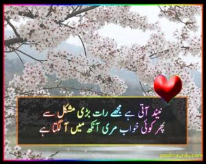 Urdu Romantic Shayari