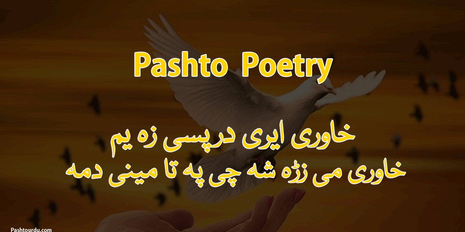 best book pashto englsh