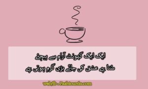 Ishq Poetry in Urdu
